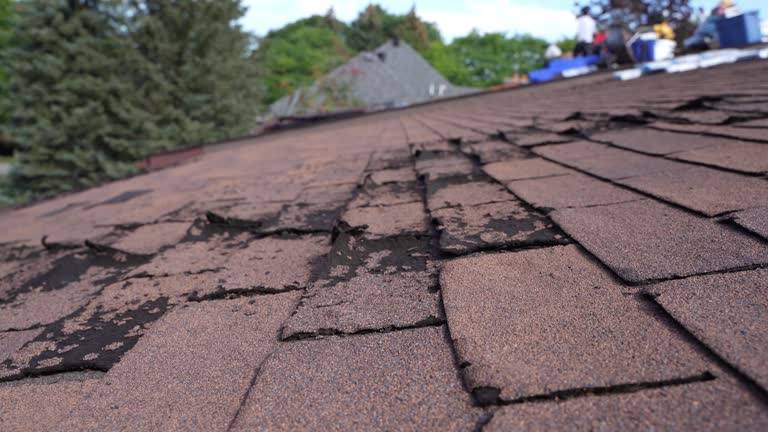 Roof Insulation Installation in Mabscott, WV